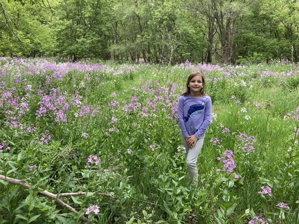 Big Woods Lake Park Flowers3